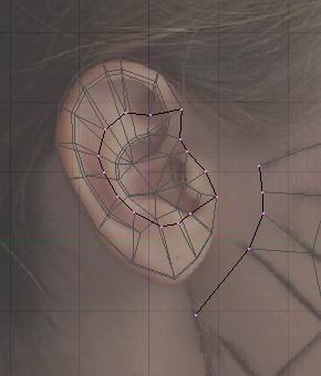 Do hry vstupujú iba vrcholy, ktorými má byť ucho prirastené k hlave a vrcholy, ktoré sú z tvárovej časti k uchu najbližšie.