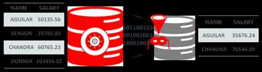 immediately, even for active sessions. Oracle Advanced Security data redaction is also available on Oracle Database 11g Release 2 (11.2.0.4).