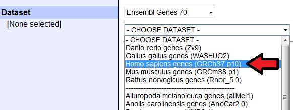 Type the gene symbols of your query in the box below.
