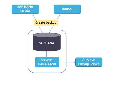 Online Complete Database Backup You can perform a backup from hdbsql command. Follow these steps: 1. Connect to SAP HANA Admin user. 2.