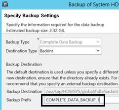 Debugging Note: SAP HANA does not support empty spaces in Backup Prefix. Remove the space for backup to complete successfully.