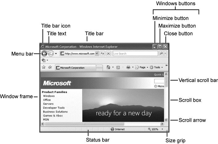 Windows - Components