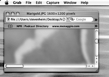 The WIMP Interface Menu Bars The menu bar is a menu of