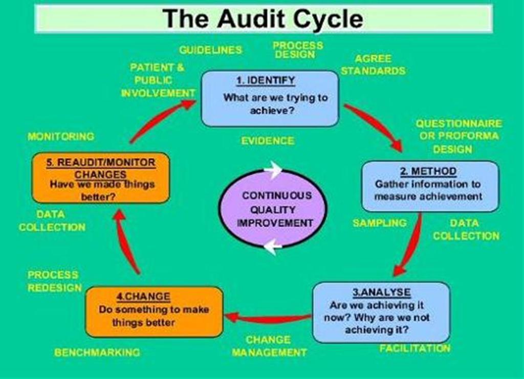 The audit cycle 19 Presentation