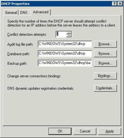 DHCP Properties The DHCP Server can be configured to check for duplicate IP addresses before issuing a new address. This is a good feature to use.