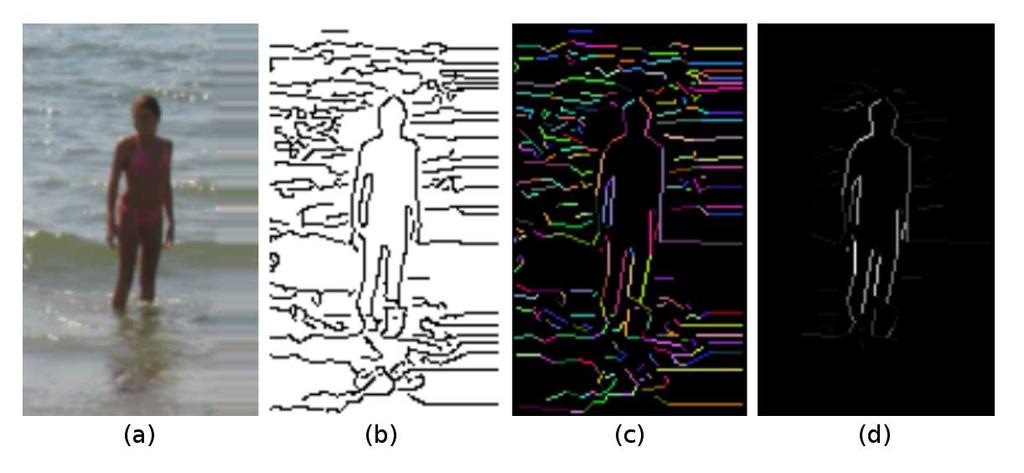 Fig. 1. Input image (a), contour image computed with Canny algorithm (b), contour pixels gathered in contour segments (c) and likely segments (d). 1.1 Related Work AdaBoost [3] and neural networks [13] are the most used classifiers.