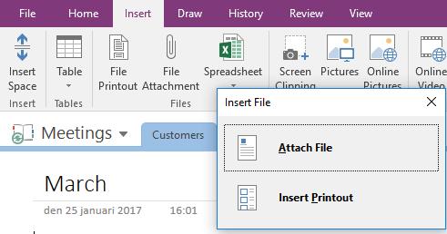 3. Either click on: Attach file Insert printout (the whole
