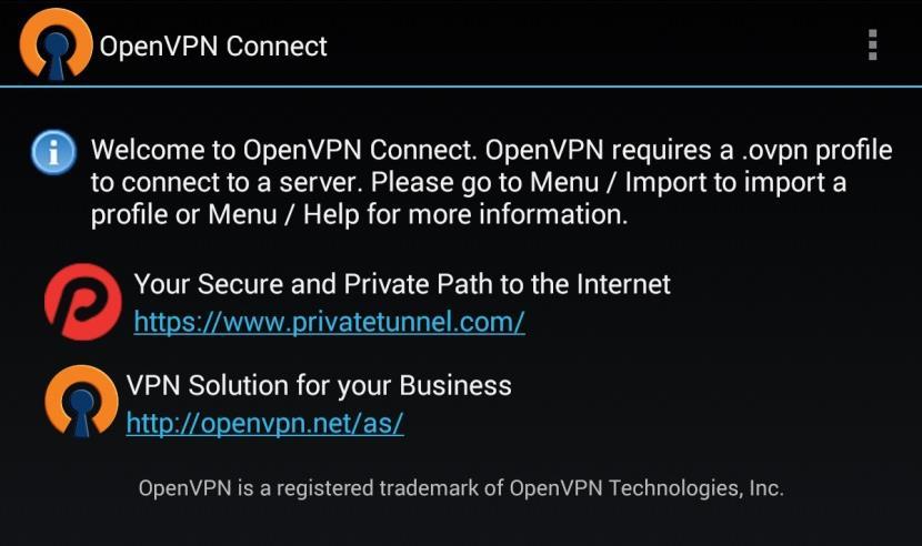 Click the Download button for Mobile VPN with SSL client profile. The client.ovpn file is downloaded. (The screen image above is from WatchGuard software.