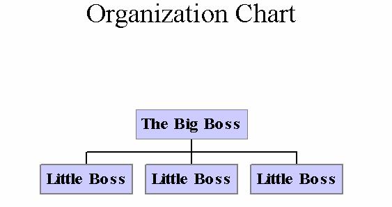 Creating Organizational Charts An Organization Chart displays the hierarchical relationship of people in a business, society or other group.