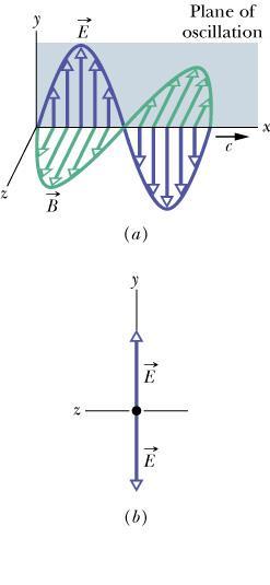 Polarized light: Light is an electromagnetic wave, where the electric field E (blue) and the magnetic field B (green) are orthogonal (perpendicular) to each other, and also orthogonal to the