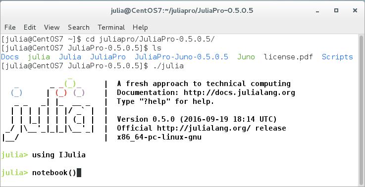 first loading the IJulia package, and then executing the notebook() command.