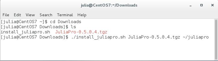 sh script, you might first need to change the execution permissions on the script. The install_juliapro.