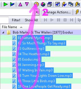 12 How to get song information using freedb If you have full albums as music files without tags and you know in which order the tracks appear on the original CD, you may use the freedb functions.
