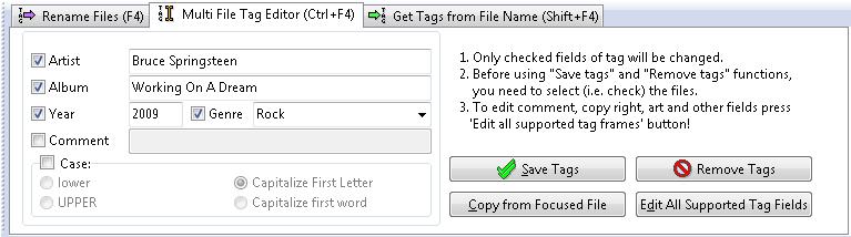 ) and allows you to perform the following commands: Save changes of selected files Cancel command Remove tag from selected file Save changes to selected file and edit next or previous file Tag&Rename