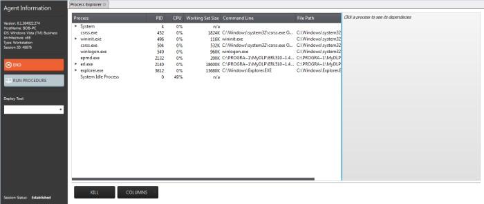 By default, the Process Explorer window displays the details of the process under five columns.
