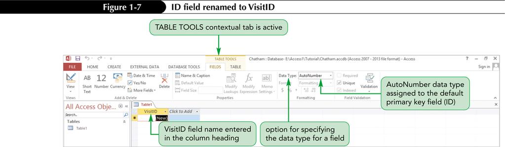 Creating a Table in Datasheet View (Cont.) Renaming the Default Primary Key Field To rename the ID field to the VisitID field: 1.