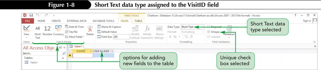 Creating a Table in Datasheet View (Cont.