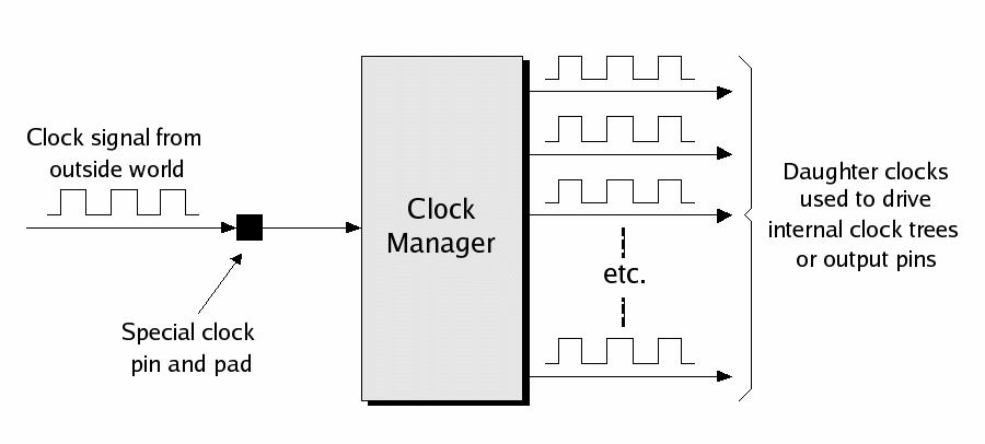 Clock Trees and Clock Managers The clock tree is routed using special tracks in the FPGA, and is designed to minimize clock skew.
