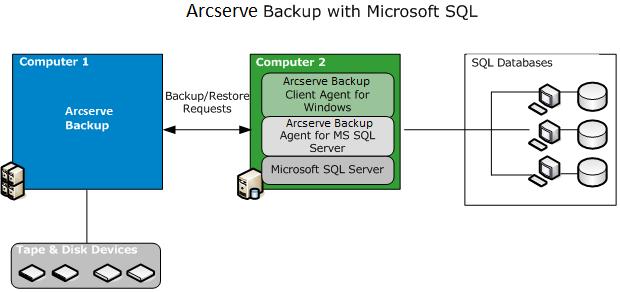 Architectural Overview Architectural Overview You can install Arcserve Backup on the same host as the Agent for Microsoft SQL Server for local operation, or on separate systems.