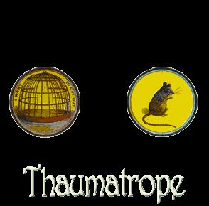 Thaumatrope Why does