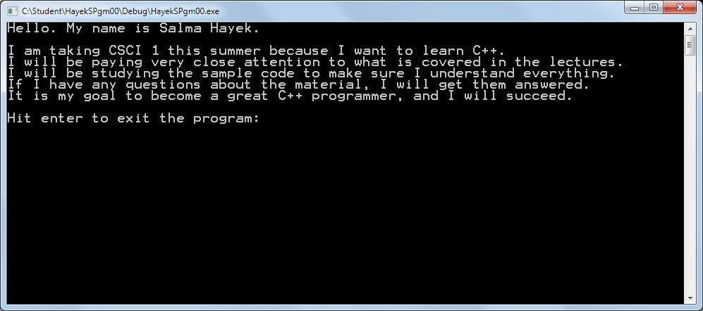 As you can see, a Command Prompt window opened up, and in this case, it looks like the program did what the programmer wanted it to do.