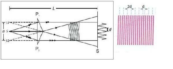 Fresnel's Biprism EQUIPMENT NEEDED Fresnel's biprism. He-Ne laser. Screen. Magnifying lenses OBJECTIVE Measuring the wave length of the He-Ne laser.