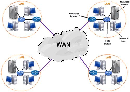 We normally refer to the first one as a switched WAN and to the second as a point-to-point WAN.