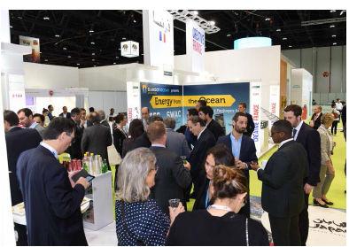 Show Highlights Over the past decade, the World Future Energy Summit (WFES) has built a solid