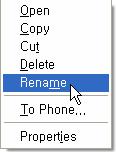 3 In the Phone area of the Tree View, select the folder where the copied or cut file is to be transferred. In the List View, select an empty area and click the right button of the mouse.