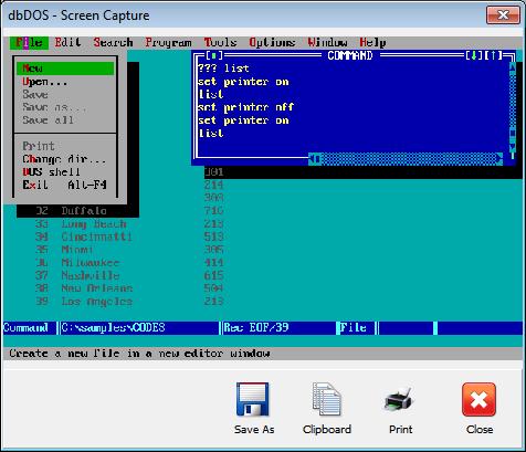 Pressing the Ctrl-PrnScr button or clicking the dbdos PRO 3 s System menu and selecting the menu item will take a screen shot of the current screen.