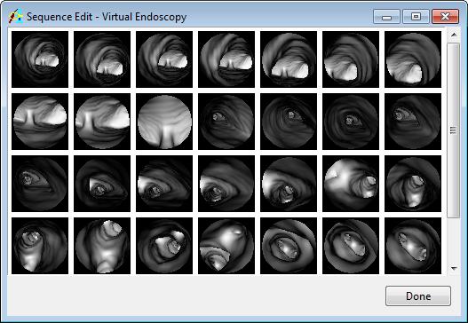 Exercise 22 : Virtual Endoscopy Endoscopic Movie Generation 2. Generating a Centerline Additional Task 7. Next select Generate > Generate Centerline.
