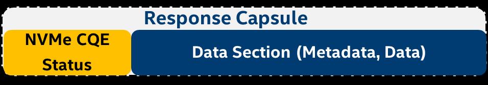 Section may be sent within the Capsule (as shown) or via a fabric type dependent data