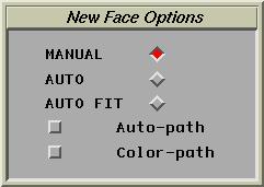 2 3 Activate the FACEs>NEW NEW function. In the New Face Options window that appears select the MANUAL option.