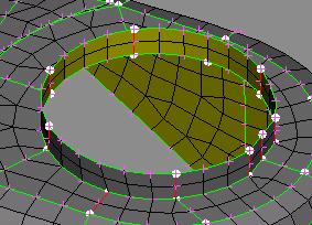 ANSA assigns automatically the specific nodal number to all of the Perimeter Segments that are parallel to the selected Segment in a continuous path of Macro Areas.