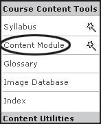 At the Add Content Module screen, enter the title as Course Unit 1. Place the content module on the course menu, and on the homepage.