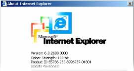 Figure 5-1. The Internet Explorer displaying the encryption key length Newer web browsers do support strong encryption on default. 5.2 Login into the IP-KVM switch and logout 5.2.1 Login into the IP-KVM switch Launch your web browser.
