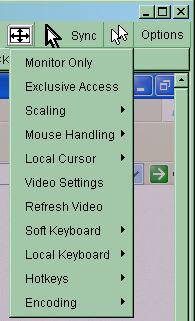 accelerated mouse settings on the host system. In general, there is no need to change mouse settings on the host.