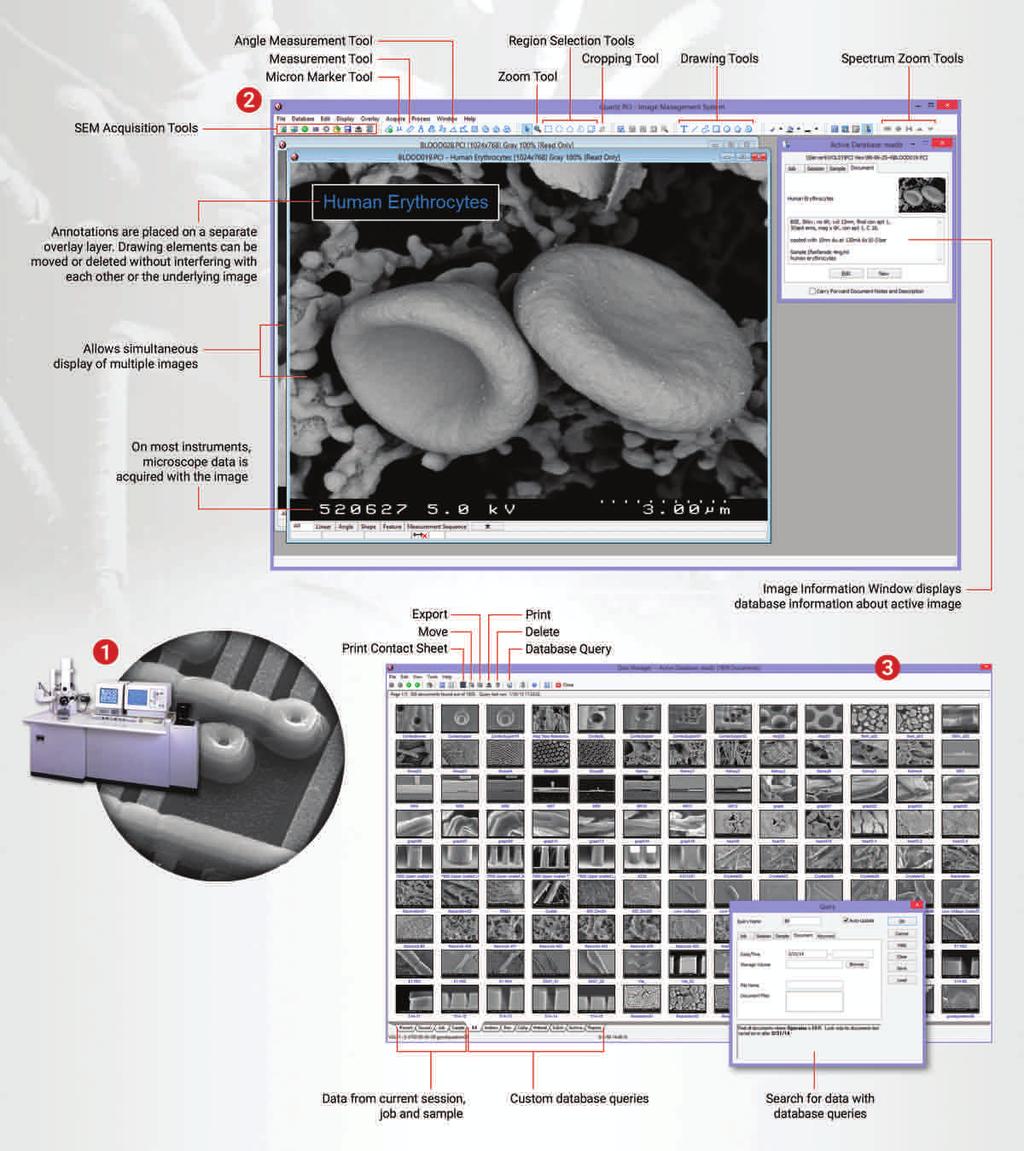 b c d PCI acquires high-resolution, slowscan images from any SEM or STEM. A complete suite of image processing, annotation and analysis tools is included.