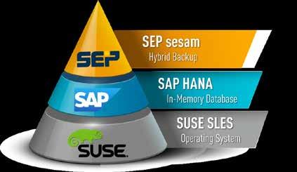 1. Introduction and Overview SUSE Linux Enterprise Server for SAP Applications with SEP sesam SUSE, SAP and SEP are committed to meet customer needs providing all the functionality, performance and