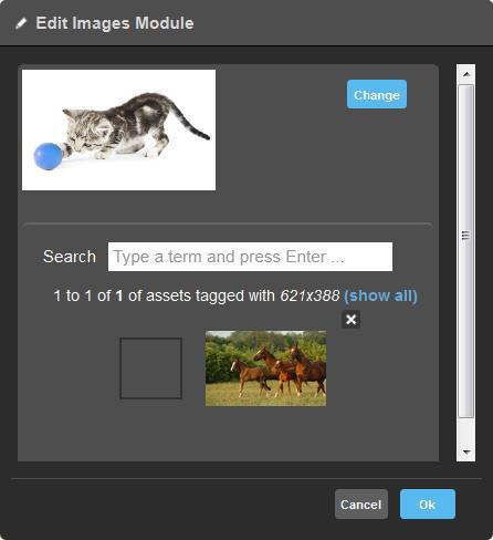 Changing/Inserting Images There are 2 basic methods for inserting images depending upon the area of the Web Builder you are adding an image. Method 1: 1.