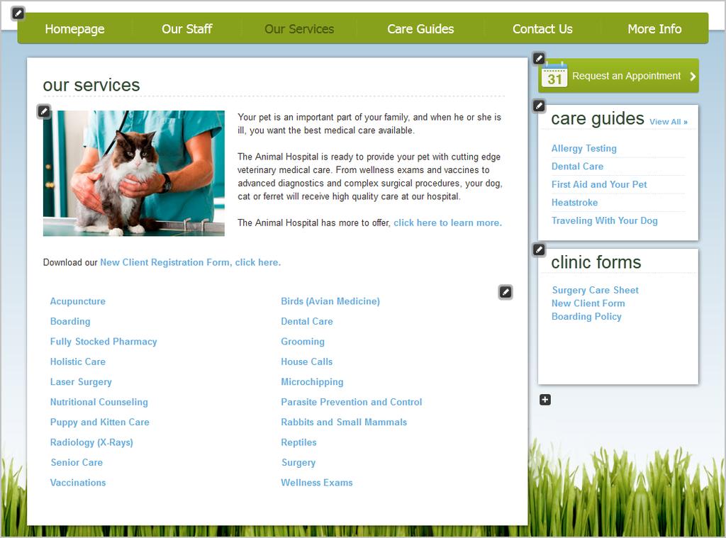Services Page The Services Page allows you to list the services offered at your practice, as well as service descriptions and any further information you wish to include.