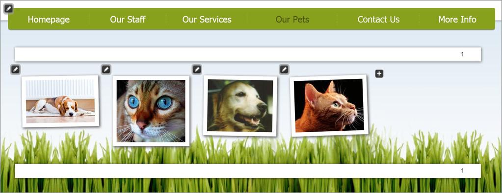 Pets Page This page gives you the ability to add a photo gallery of pets. Clients can click on any image to enlarge and view pet information.