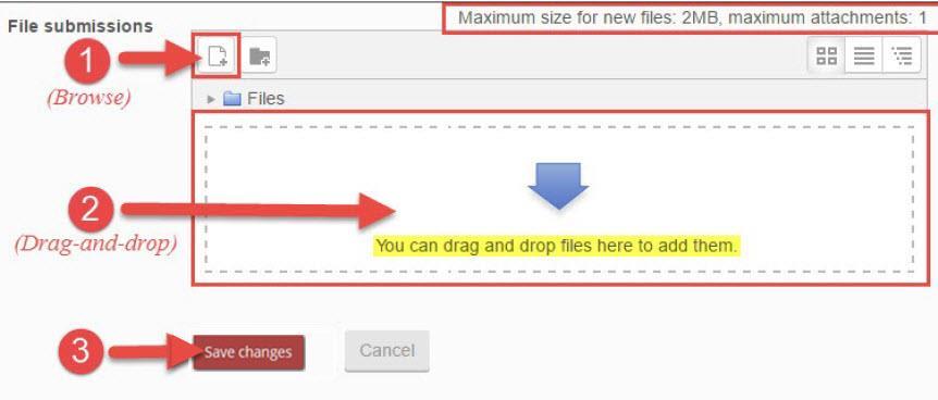 When the upload completes and your file(s) appear in the Files area, click the Save changes button (3). Assignments-Image 2 Step 4: Revise, edit or submit.