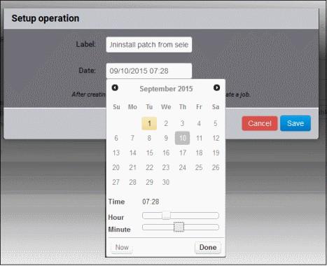 Select the date from the calendar Set the time using the Hour and Minute sliders Click 'Done' Click 'Save' from the 'Setup operation' dialog. Click 'Submit' from the 'Endpoint Details' area.