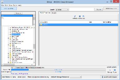 When the idrop irods Cloud Browser opens, the irods Tree View tab should be highlighted, and a list of files and folders in your iplant Datastore will be displayed.