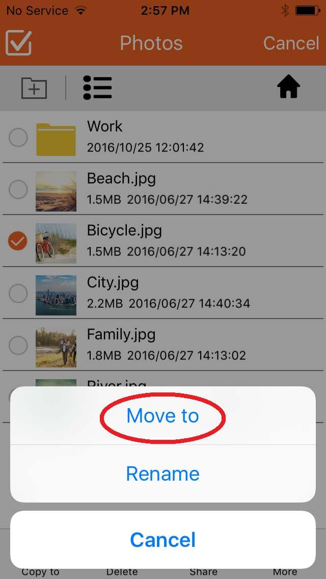 Select Move to button. Choose the specific location where the file should be pasted.