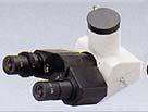 How We Classify Biological Upright Biological Upright also known as Compound or High Power, all have the same common elements of an eyepiece tube, turret of objectives, specimen stage and some form