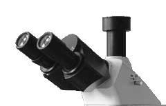 GXM L3200B Research Grade Biological Upright Microscope Features & Specifications Equipped with a Trinocular Head with a range of optional camera adapters and cameras available to fit the phototube