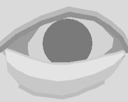 The components include white region around iris (sclera), dark regions near left and right corners, an iris, upper and lower s, bulge below the eye, bright region on the bulge, and a furrow below the