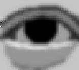 t 0 is such a frame that contains a neutral eye (an open eye with a